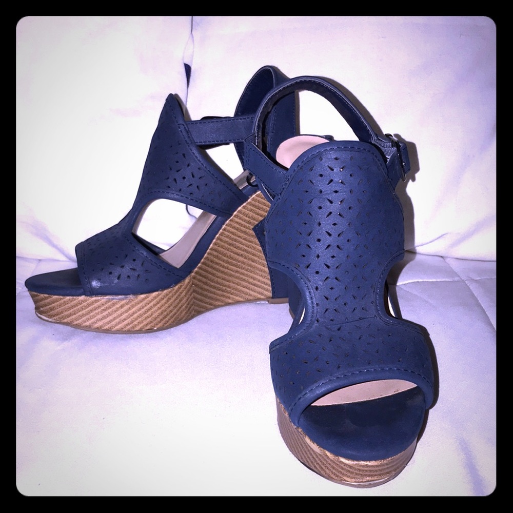 Blue and Brown Wedges